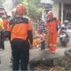 Tim SAR Gabungan mengevakuasi Luh Sukerti yang terperosok ke jurang di Desa Sudaji, Buleleng.