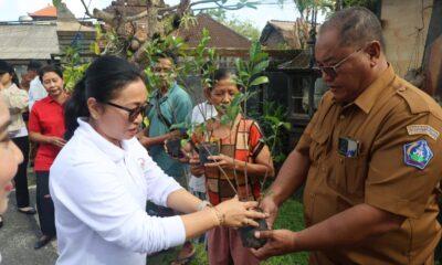 Ketua TP Posyandu Kota Denpasar Ny. Sagung Antari Jaya Negara menyerahkan bantuan tanaman hias saat pembinaan lokus telajakan di Denpasar Barat dan Denpasar Utara.