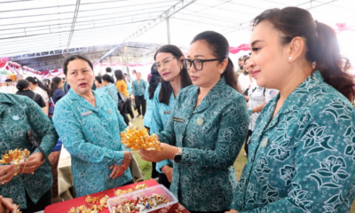 sagung antari jaya negara