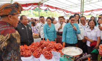 pasar rakyat
