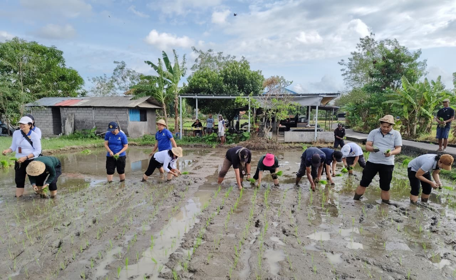 Gerakan Tanam Padi Varietas Cakrabuana Agritan oleh Dinas Pertanian Kota Denpasar di Subak Sembung, Peguyangan