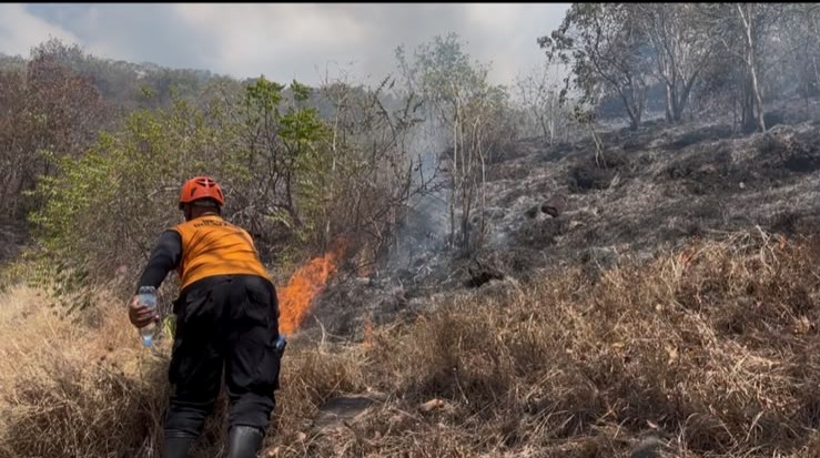 Tim gabungan lintas instansi melakukan penanganan kebakaran hutan di kawasan Hutan Lindung Desa Pemuteran, Buleleng