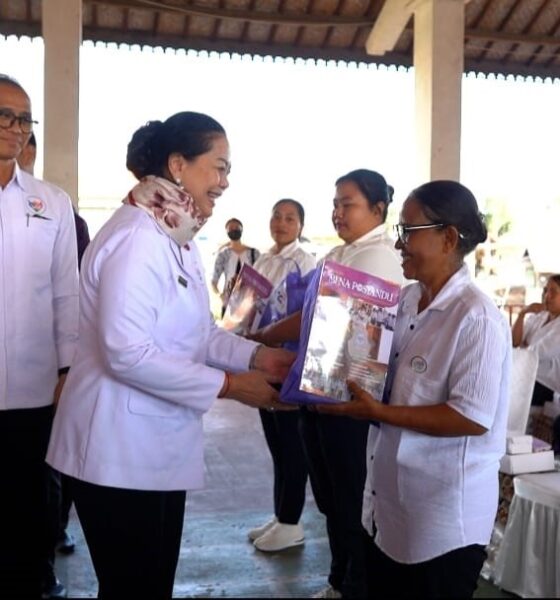 Tim Pembina Posyandu Provinsi Bali menggelar sosialisasi transformasi Posyandu di dua lokasi di Kabupaten Buleleng