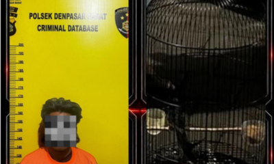 Terduga pelaku pencurian burung murai batu diamankan pihak Polsek Denpasar Barat berikut barang bukti.