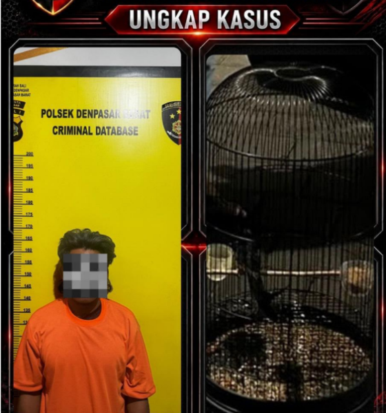 Terduga pelaku pencurian burung murai batu diamankan pihak Polsek Denpasar Barat berikut barang bukti.