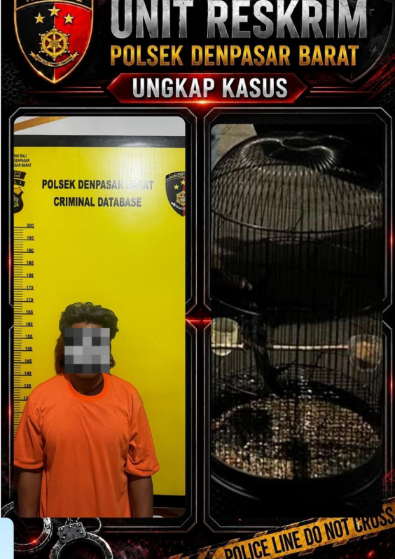 Terduga pelaku pencurian burung murai batu diamankan pihak Polsek Denpasar Barat berikut barang bukti.