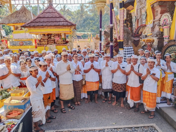 Wakil Bupati Badung Bagus Alit Sucipta bersama anggota DPRD Putu Yunita Oktarini menghadiri Puncak Piodalan Padudusan Agung Karya Ngenteg Linggih di Pura Dalem Desa Adat Ambengan.