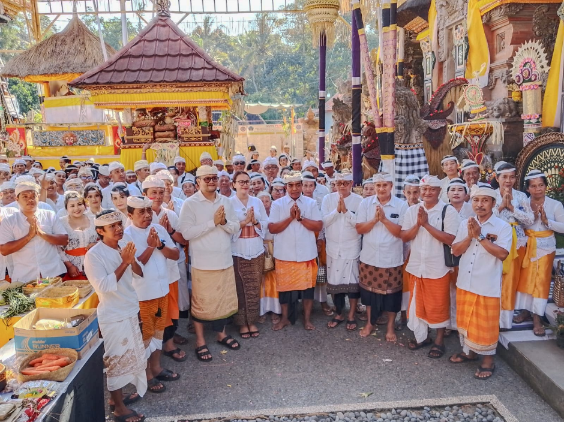 Wakil Bupati Badung Bagus Alit Sucipta bersama anggota DPRD Putu Yunita Oktarini menghadiri Puncak Piodalan Padudusan Agung Karya Ngenteg Linggih di Pura Dalem Desa Adat Ambengan.
