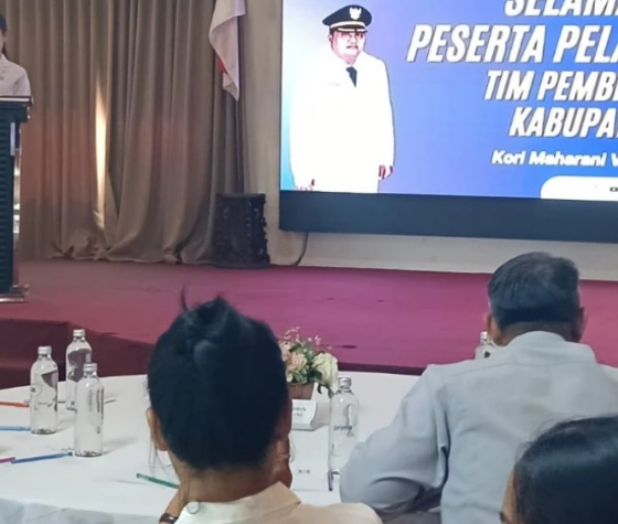 Pelatihan SPA Bayi bagi kader Posyandu Gianyar