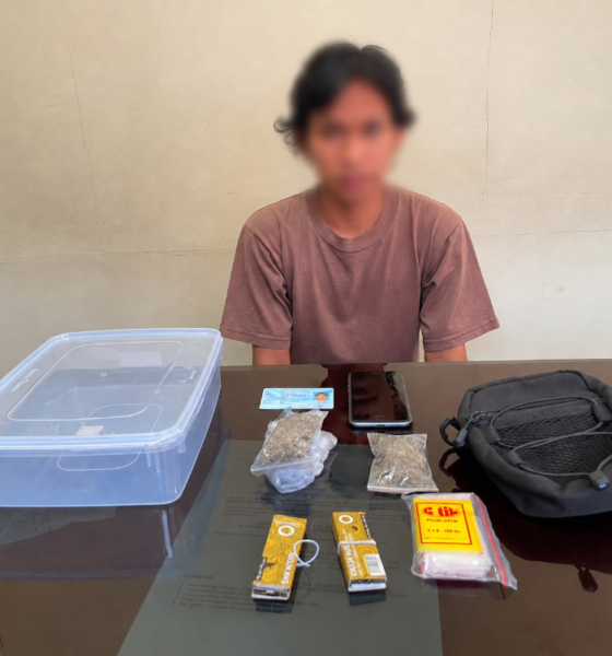 Terduga pelaku pengedar narkotika ganja bersama barang bukti yang diamankan Satresnarkoba Polresta Denpasar.