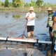 Bupati Badung I Wayan Adi Arnawa saat Gerakan Tanam Padi metode PMAAS di Subak Tanah Yeng, Desa Sedang, Abiansemal.