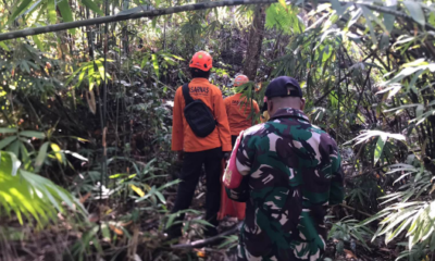 Tim SAR gabungan saat melakukan operasi pencarian warga lanjut usia yang tidak kembali dari ladang di Mendoyo, Jembrana.