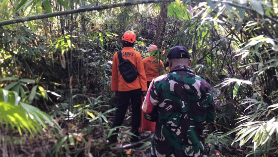 Tim SAR gabungan saat melakukan operasi pencarian warga lanjut usia yang tidak kembali dari ladang di Mendoyo, Jembrana.