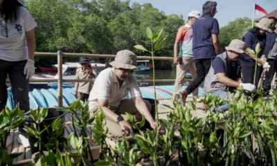 TP PKK Badung Dukung Penanaman 2.000 Mangrove