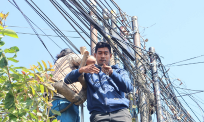 Penertiban Kabel Fiber Optik di Singaraja