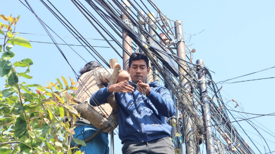 Penertiban Kabel Fiber Optik di Singaraja