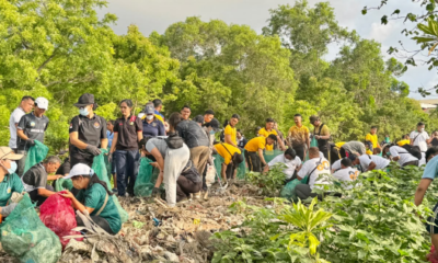 Aksi Bersih Sampah di Mangrove Pesanggaran