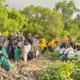 Aksi Bersih Sampah di Mangrove Pesanggaran