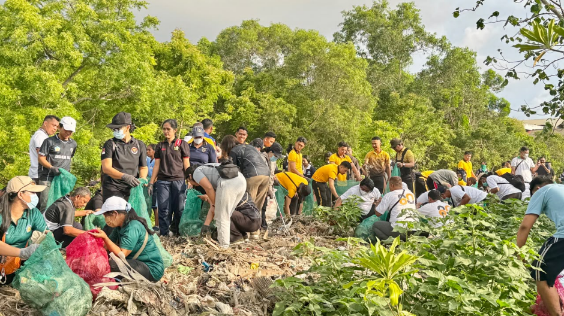 Aksi Bersih Sampah di Mangrove Pesanggaran