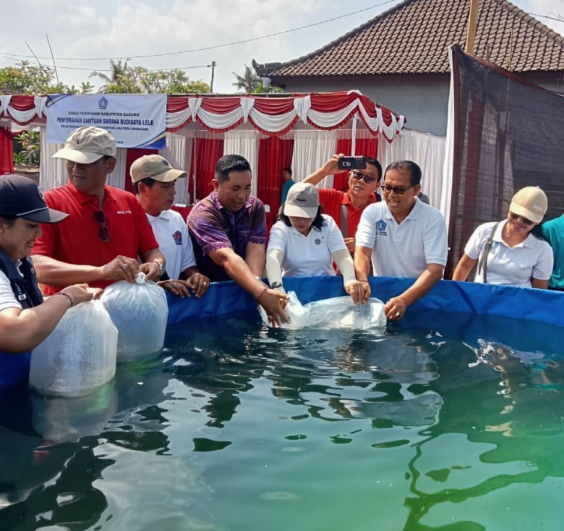Bantuan Sarana Budidaya Lele di Darmasaba