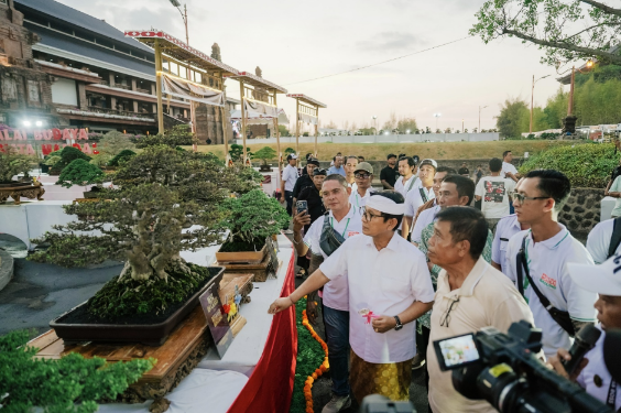 Bupati Adi Arnawa Buka Kontes Bonsai dan Suiseki Badung 2026