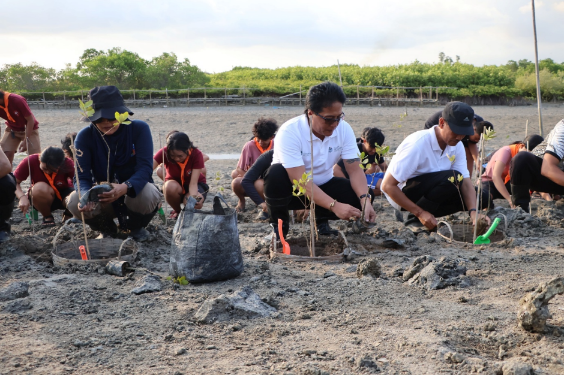 Wagub Giri Prasta tanam mangrove di Tahura Ngurah Rai