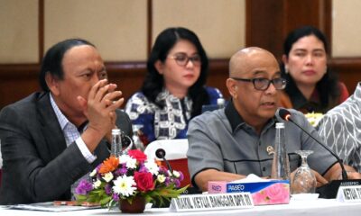 wakil banggar dpr ri