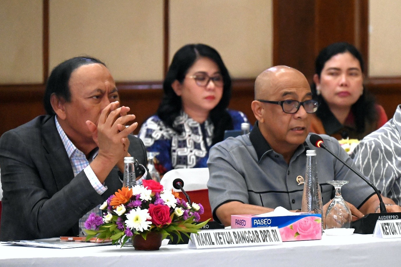 wakil banggar dpr ri